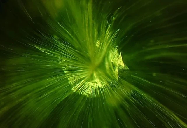 「比鑽石更閃耀」的石榴石貴族:翠榴石 - 第2張圖 「比鑽石更閃耀」的石榴石貴族:翠榴石