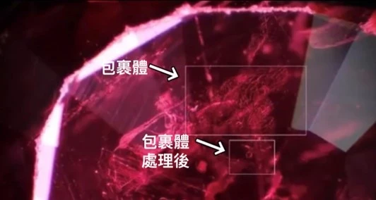 避開證書貨，一次搞懂珠寶的入門術語，為什麼「燒、油」對寶石如此重要？