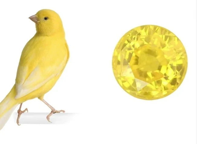 不是藍色也能稱為藍寶石？彩色藍寶石如何搭配能發揮最大效果？